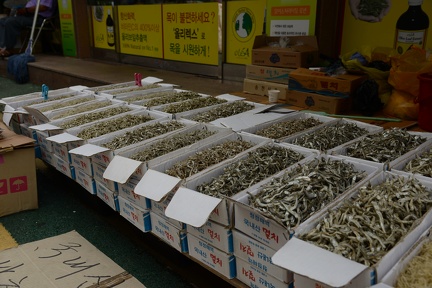 dried fish of many sizes